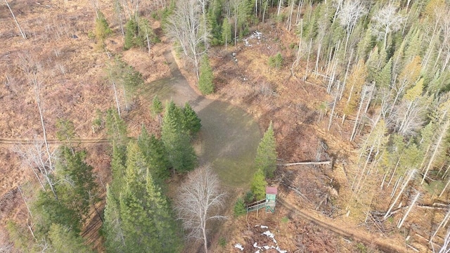 725 S Hubbard Lake Rd, Lincoln, MI 48742 - photo 44