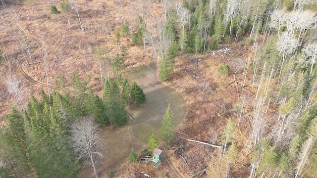725 S Hubbard Lake Rd, Lincoln, MI 48742 - photo 45