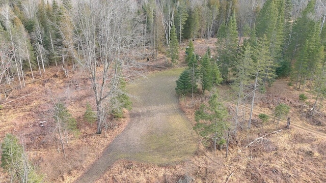 725 S Hubbard Lake Rd, Lincoln, MI 48742 - photo 47