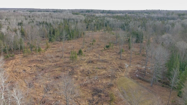 725 S Hubbard Lake Rd, Lincoln, MI 48742 - photo 48