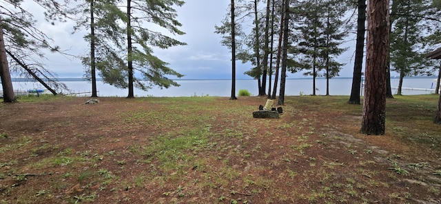 505 S Black River Rd, Onaway, MI 49765 - photo 5