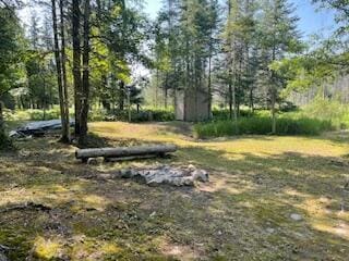 V/L Blue Springs Trail, Falmouth, MI 49632 - photo 3