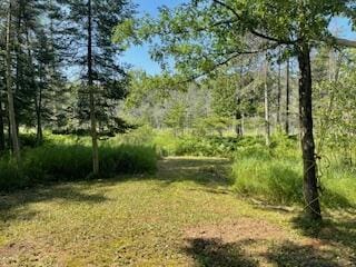 V/L Blue Springs Trail, Falmouth, MI 49632 - photo 1