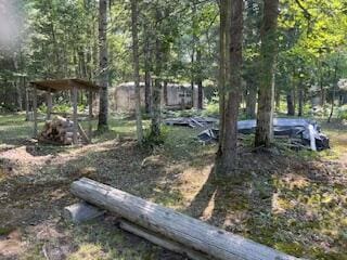 V/L Blue Springs Trail, Falmouth, MI 49632 - photo 5