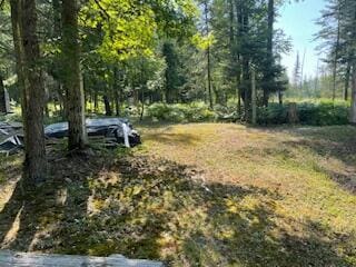 V/L Blue Springs Trail, Falmouth, MI 49632 - photo 6