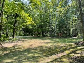 V/L Blue Springs Trail, Falmouth, MI 49632 - photo 8