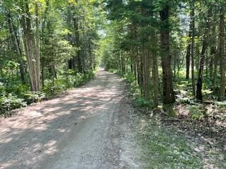 V/L Blue Springs Trail, Falmouth, MI 49632 - photo 10