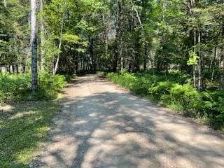 V/L Blue Springs Trail, Falmouth, MI 49632 - photo 11