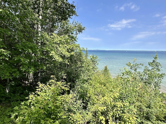 LOT9 W US-23 Hwy, Cheboygan, MI 49721 - photo 6