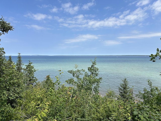 LOT9 W US-23 Hwy, Cheboygan, MI 49721 - photo 1