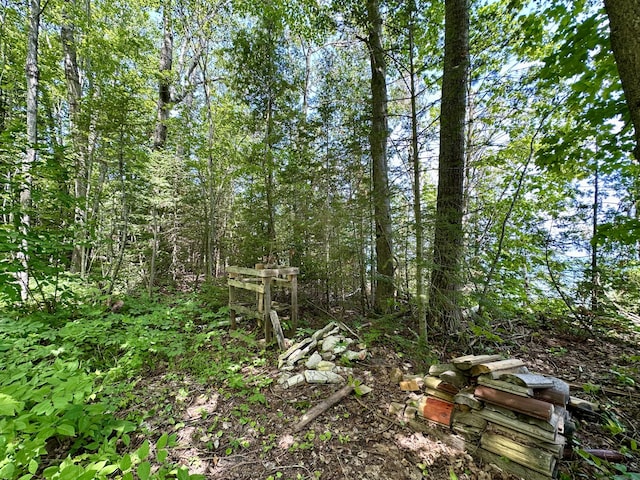 LOT9 W US-23 Hwy, Cheboygan, MI 49721 - photo 5