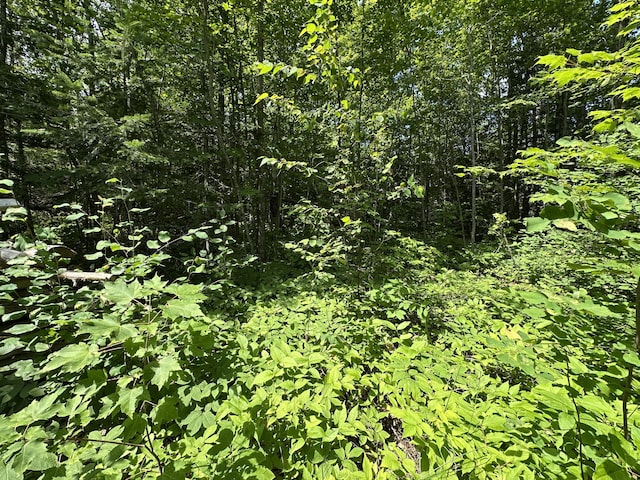 LOT9 W US-23 Hwy, Cheboygan, MI 49721 - photo 7