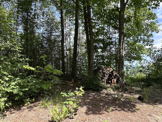 LOT9 W US-23 Hwy, Cheboygan, MI 49721 - photo 3