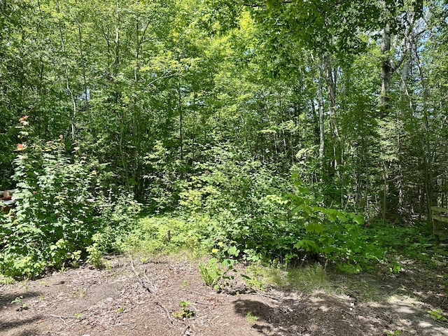 LOT9 W US-23 Hwy, Cheboygan, MI 49721 - photo 8