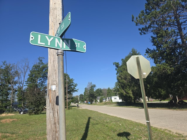 405 Lynn St, Mio, MI 48647 - photo 48