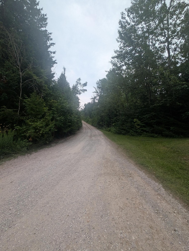 6555 Monaghan Point Rd, Alpena, MI 49707 - photo 11