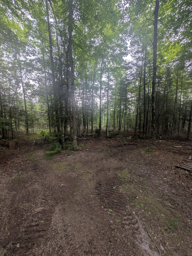 6555 Monaghan Point Rd, Alpena, MI 49707 - photo 21