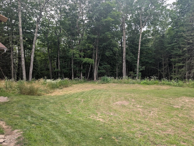 6555 Monaghan Point Rd, Alpena, MI 49707 - photo 23