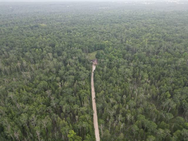 6555 Monaghan Point Rd, Alpena, MI 49707 - photo 57
