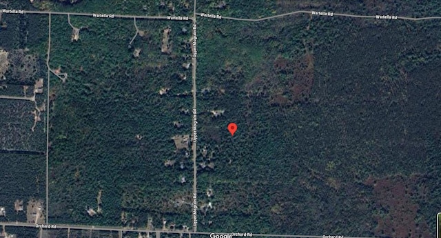 10320 Upper Mograin Rd, Cheboygan, MI 49721 - photo 23