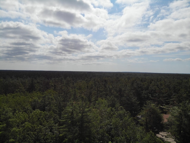 10320 Upper Mograin Rd, Cheboygan, MI 49721 - photo 6