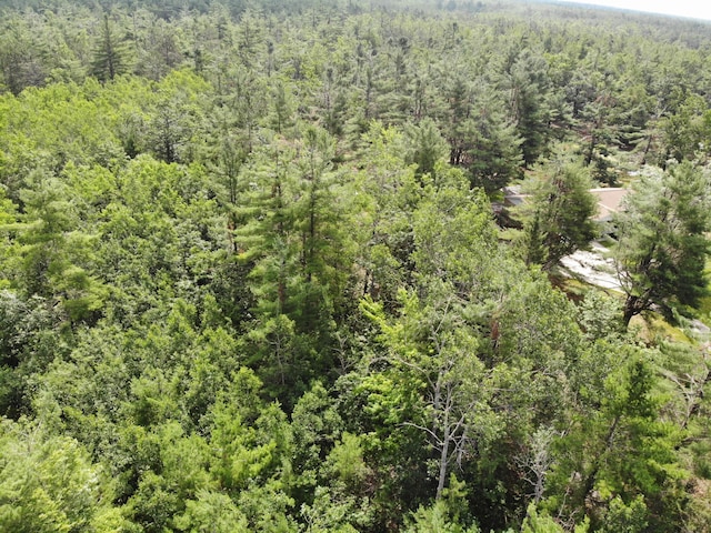 10320 Upper Mograin Rd, Cheboygan, MI 49721 - photo 7