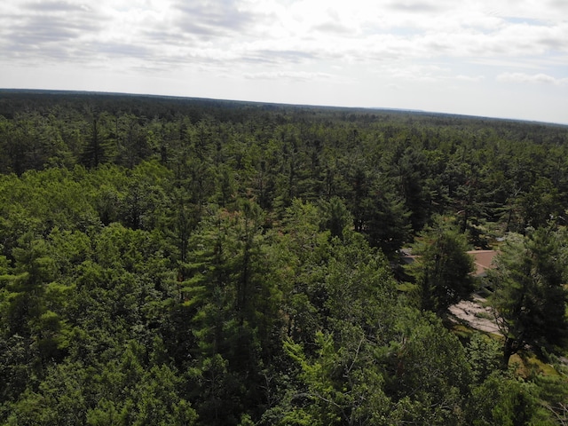10320 Upper Mograin Rd, Cheboygan, MI 49721 - photo 8