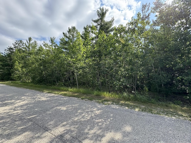 10320 Upper Mograin Rd, Cheboygan, MI 49721 - photo 11