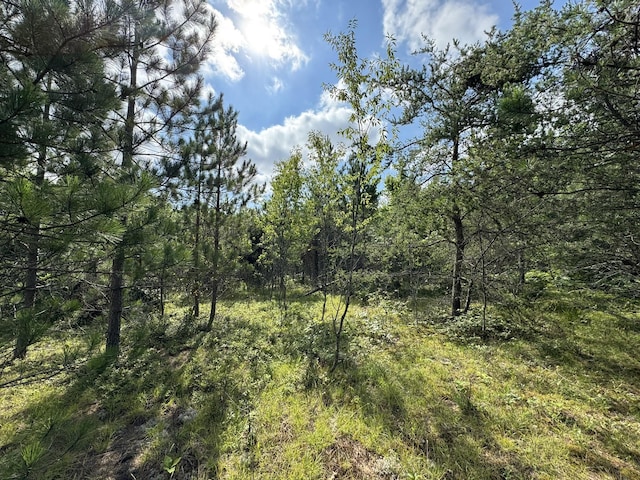10320 Upper Mograin Rd, Cheboygan, MI 49721 - photo 4