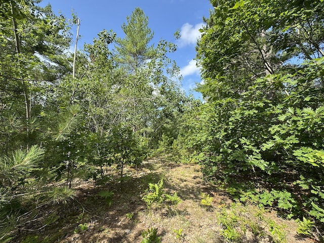 10320 Upper Mograin Rd, Cheboygan, MI 49721 - photo 1