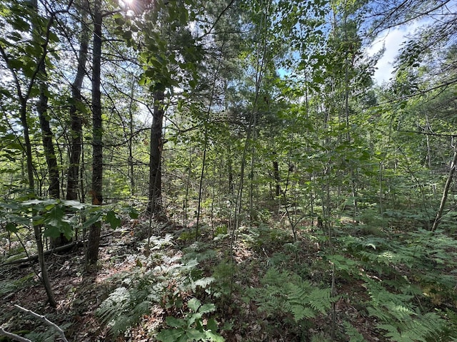 10320 Upper Mograin Rd, Cheboygan, MI 49721 - photo 15