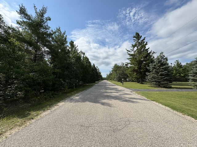 10320 Upper Mograin Rd, Cheboygan, MI 49721 - photo 3