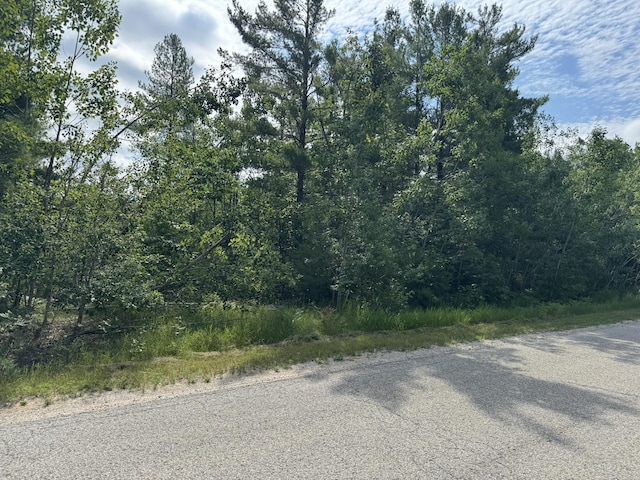 10320 Upper Mograin Rd, Cheboygan, MI 49721 - photo 17