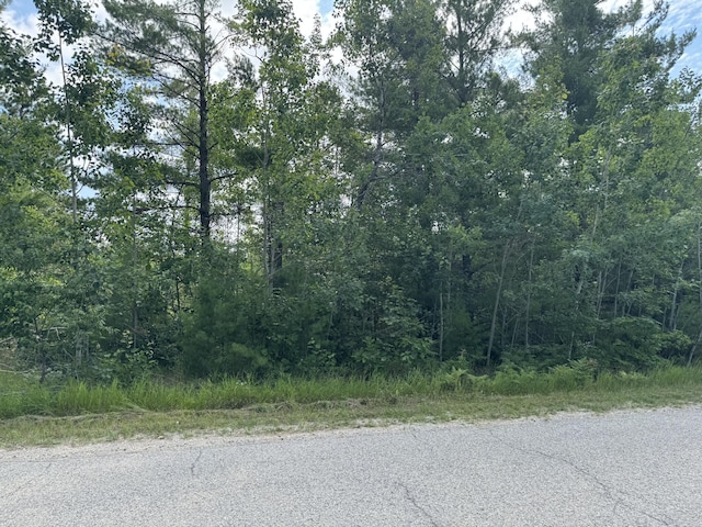 10320 Upper Mograin Rd, Cheboygan, MI 49721 - photo 18