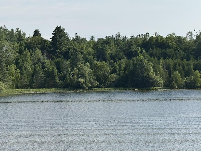 8684 W Black Ln, Cheboygan, MI 49721 - photo 11