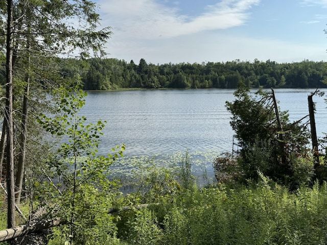 8684 W Black Ln, Cheboygan, MI 49721 - photo 12