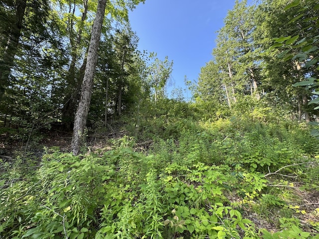 8684 W Black Ln, Cheboygan, MI 49721 - photo 14