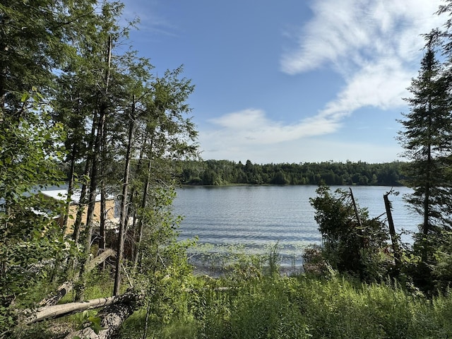 8684 W Black Ln, Cheboygan, MI 49721 - photo 15