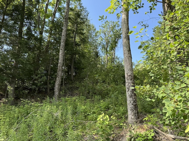 8684 W Black Ln, Cheboygan, MI 49721 - photo 18