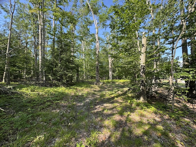 8684 W Black Ln, Cheboygan, MI 49721 - photo 21