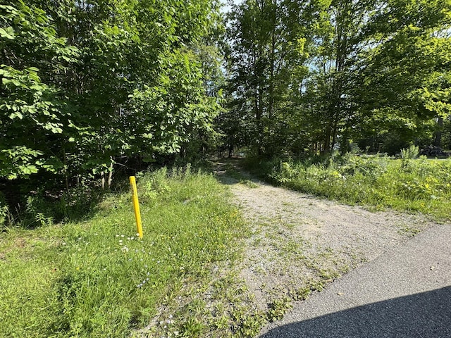 8684 W Black Ln, Cheboygan, MI 49721 - photo 6