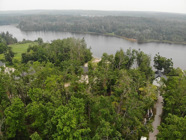 8684 W Black Ln, Cheboygan, MI 49721 - photo 28