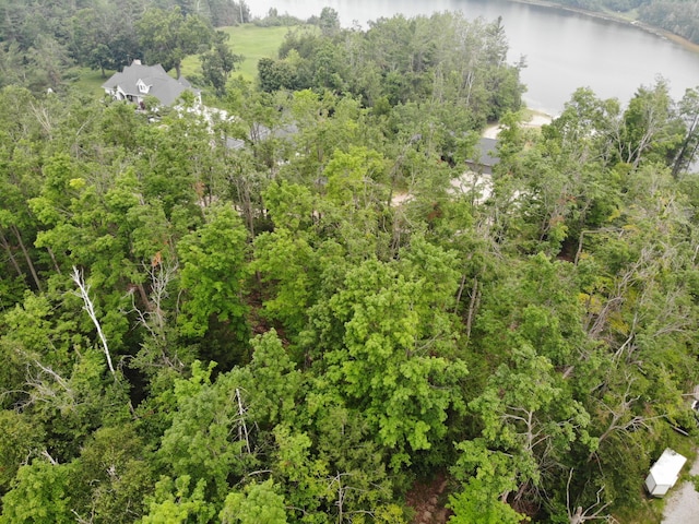 8684 W Black Ln, Cheboygan, MI 49721 - photo 29