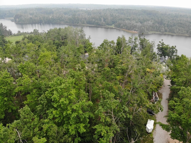 8684 W Black Ln, Cheboygan, MI 49721 - photo 30