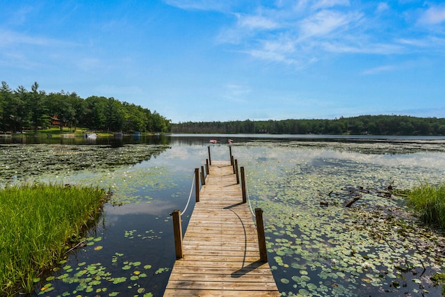 19591 Horseshoe Lake Dr, Hillman, MI 49746 - photo 25