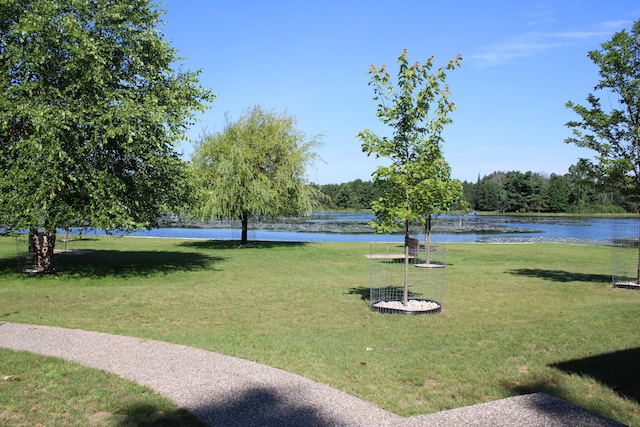 3906 Little Mack Dr, Mio, MI 48647 - photo 6