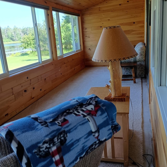 3906 Little Mack Dr, Mio, MI 48647 - photo 23
