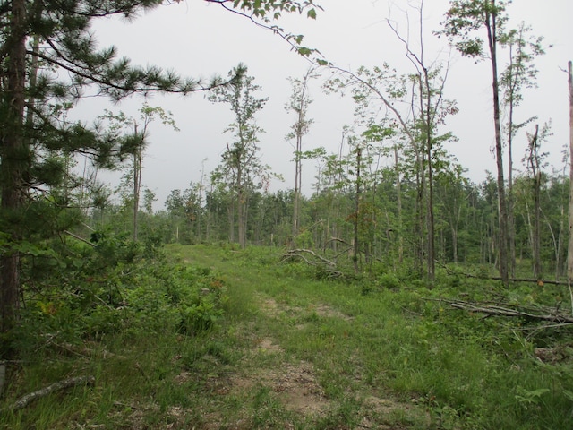5765 W Miller Rd, Lewiston, MI 49756 - photo 19
