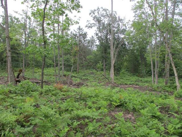 5765 W Miller Rd, Lewiston, MI 49756 - photo 21