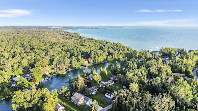 8280 E Foote Rd, Cheboygan, MI 49721 - photo 44